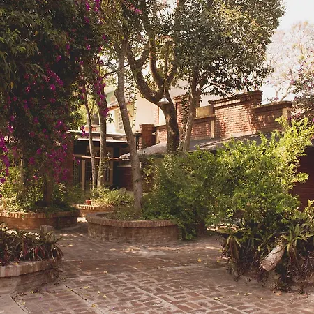 Los Arboles-3